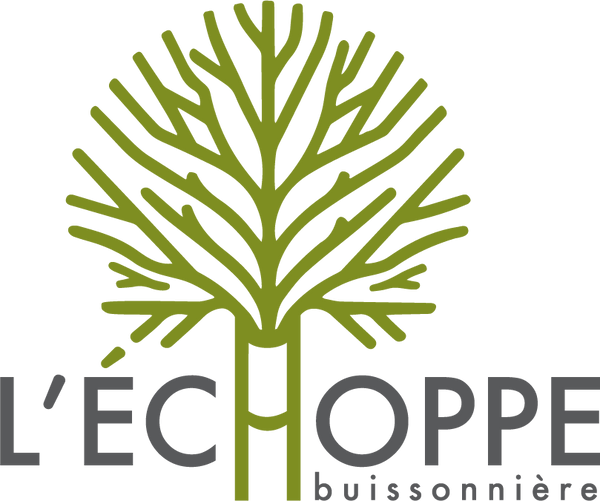 L'échoppe buissonnière