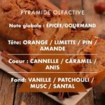 L'ÉCHOPPE BUISSONIÈRE - Bougie parfumée 180 g - Pain d'épices – Image 2
